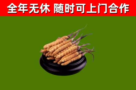 通山县烟酒回收冬虫夏草.jpg